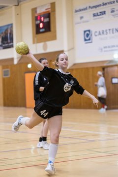 Bild 222 - wBJ TSV Ellerau - HSG Kalkberg : Ergebnis: 30:19